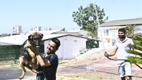 Muratpaşa Belediyesi'nden patili dostlara serin dokunuş