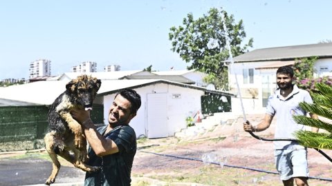 Muratpaşa Belediyesi'nden patili dostlara serin dokunuş