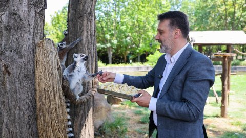Şahin Biba, Bursa Hayvanat Bahçesi’nde incelemelerde bulundu
