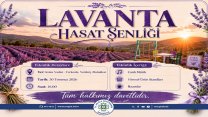 Muğla Büyükşehir Belediyesi'nin Lavanta Hasat Şenliği başlıyor