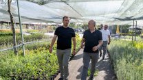 Bornova Belediyesi'nden İzmir'de bir ilk! 7 dönümlük lavanta parkı geliyor