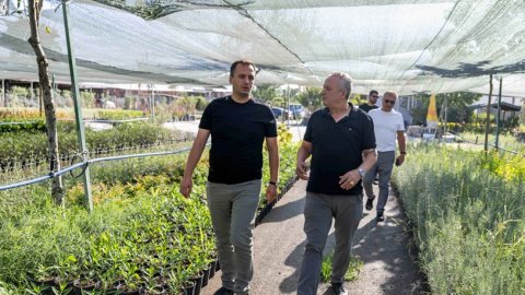 Bornova Belediyesi'nden İzmir'de bir ilk! 7 dönümlük lavanta parkı geliyor