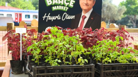 Kepez’de yerli ve uygun fidan dönemi: Bahçe Market açılıyor
