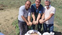 İzmit Belediyesi'nin nohut hasadı vatandaşın sofrasına bereket olacak
