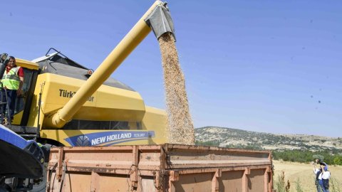 Ankara Büyükşehir Belediyesi'nin nohut tohumu desteği sonrası hasat başladı