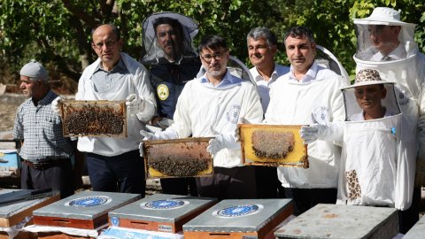 Bursa Büyükşehir Belediyesi'nden Keles'te Bal Hasadı programı