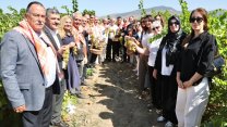 Menemen'de bağ bozumu gerçekleştirildi