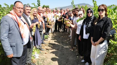 Menemen'de bağ bozumu gerçekleştirildi