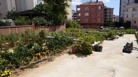 Kartal Belediyesi'nden sürdürülebilir tarım hamlesi
