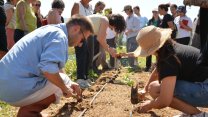 Balıkesir Büyükşehir Belediyesi'nin bahçıvanlık kursuna yoğun ilgi