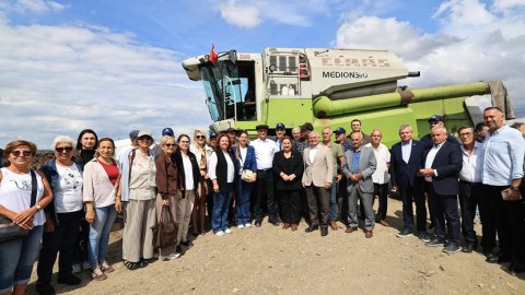 İBB'den Silivri'de Ayçiçeği Hasat Şenliği