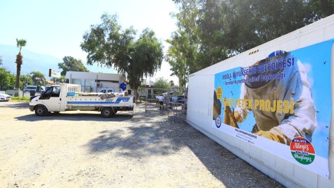 Muğla Büyükşehir Belediyesi'nden arıcıları koruyan proje